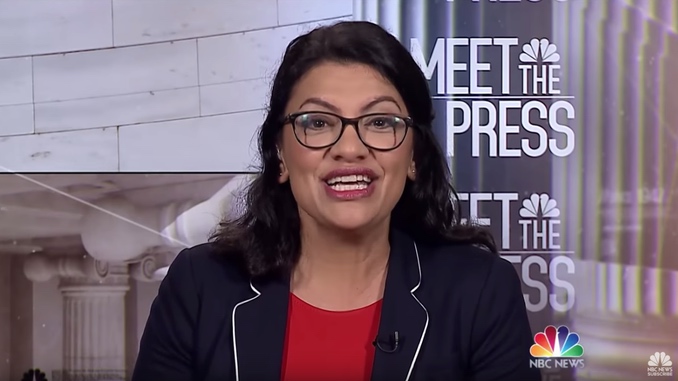 A viral video of Rashida Tlaib just exposed this giant lie Democrats tell the American people | Renewed Right