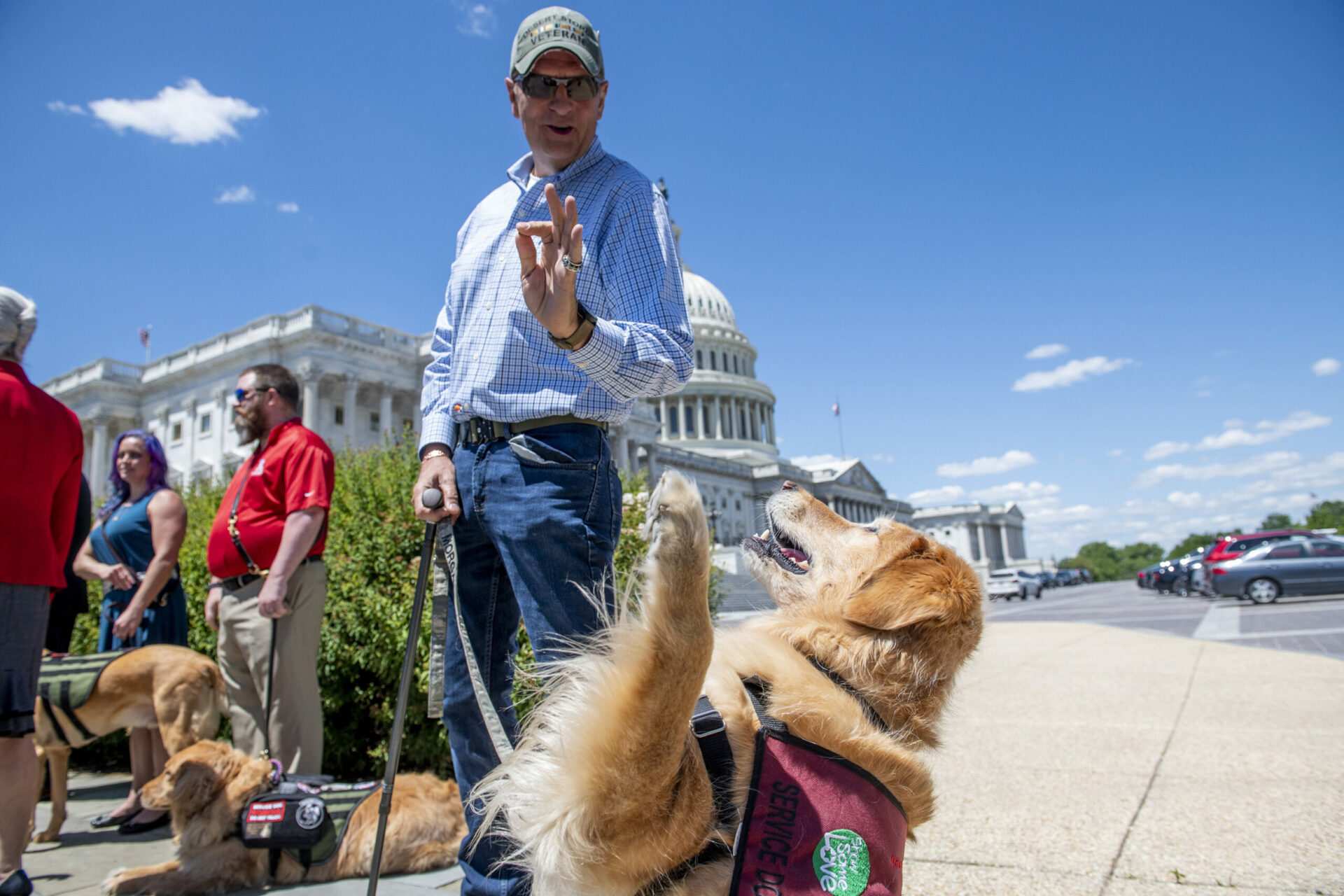 Congress unleashes service dogs for veterans with PTSD | American Military News