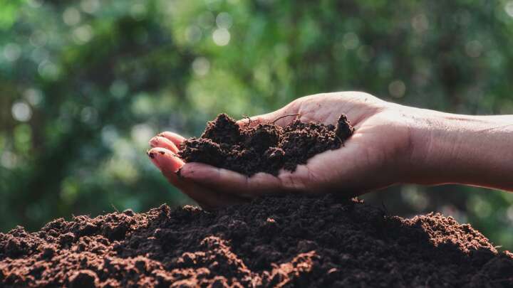 Attention California: You Could Soon Be Made Into Compost (After You Die, That Is) | IFLScience