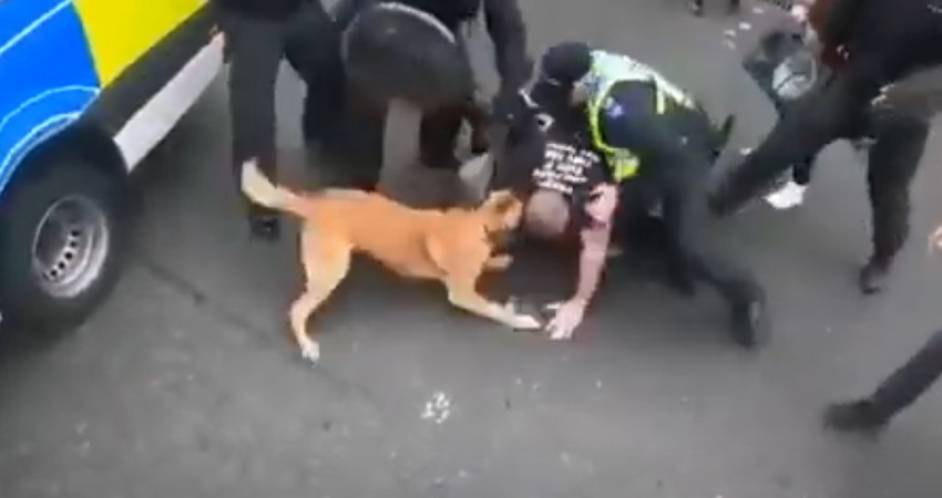 Video: Police Dog Mauls Anti-Lockdown Protester