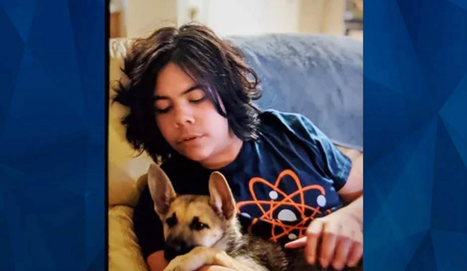 Missing: Boy Never Returns Home After Possibly Meeting Online ‘Gamer’ in Wooded Area – Crime Online
