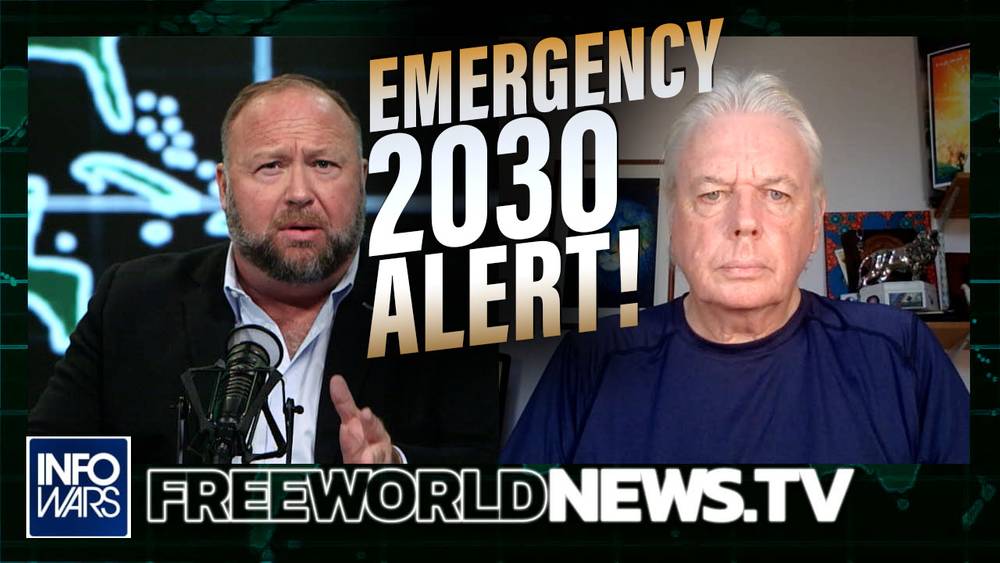 David Icke Issues Emergency 2030 Alert!