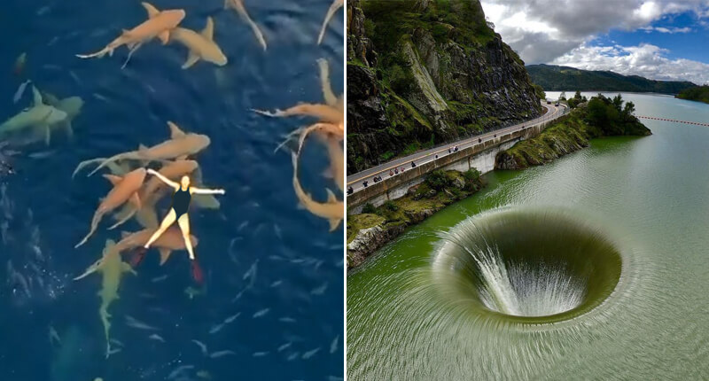 50 Photos Taken From Drones That Reveal More Than Expected - Buzzerilla