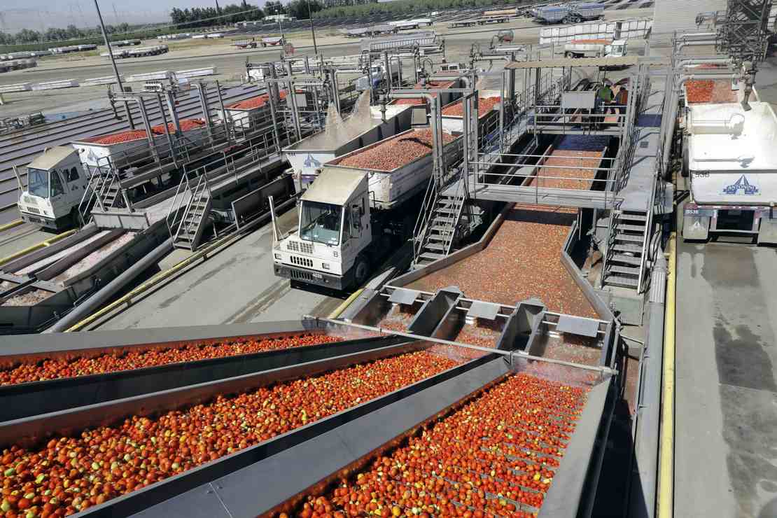 Supply Chain: We're Running out of Food — Thanks to Biden – RedState