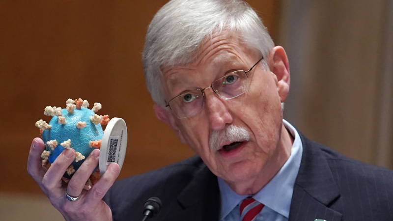 Disgraced NIH Director Francis Collins To Resign After Wuhan Lab Lies Exposed