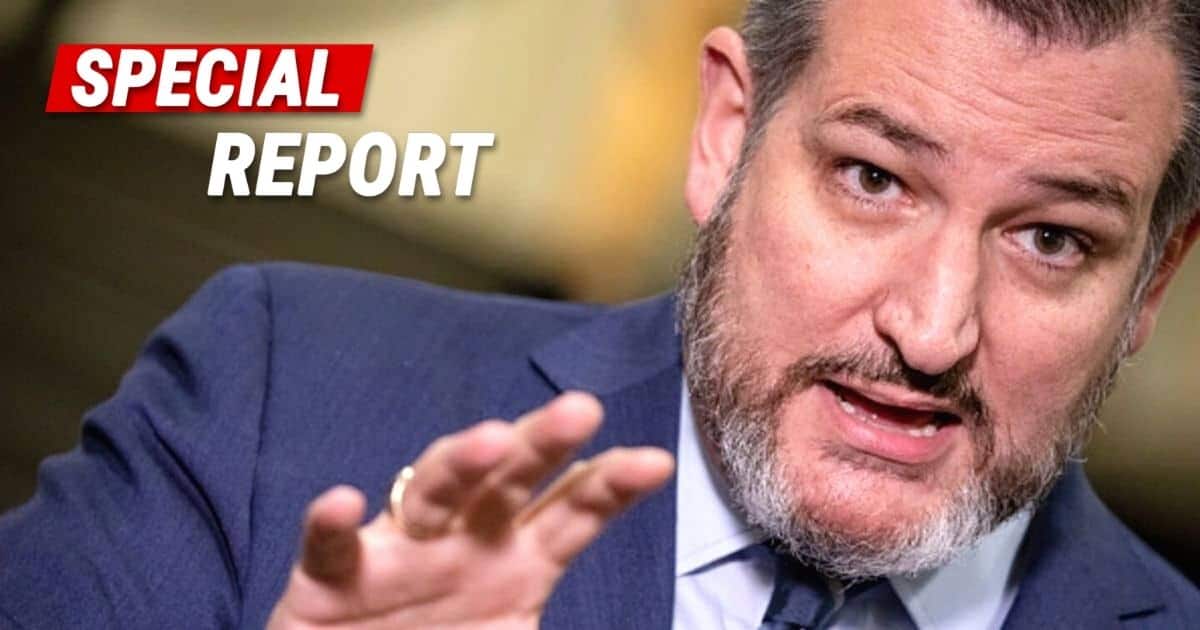 Ted Cruz Rocks Washington Elites - 'Stop The Surge' Bill Would Send Migrants To Democrat Elite Vacation Spots