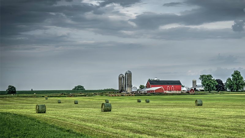 ‘Devastating to Agriculture’: Farm Bureau Sounds Off On Biden’s ‘Build Back Better’ Spending Bill