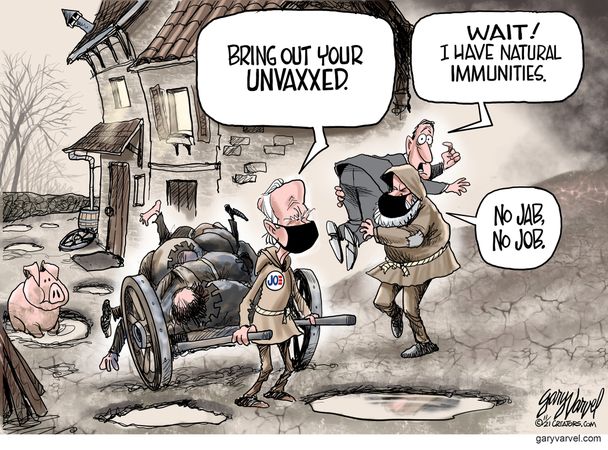 Political Cartoons