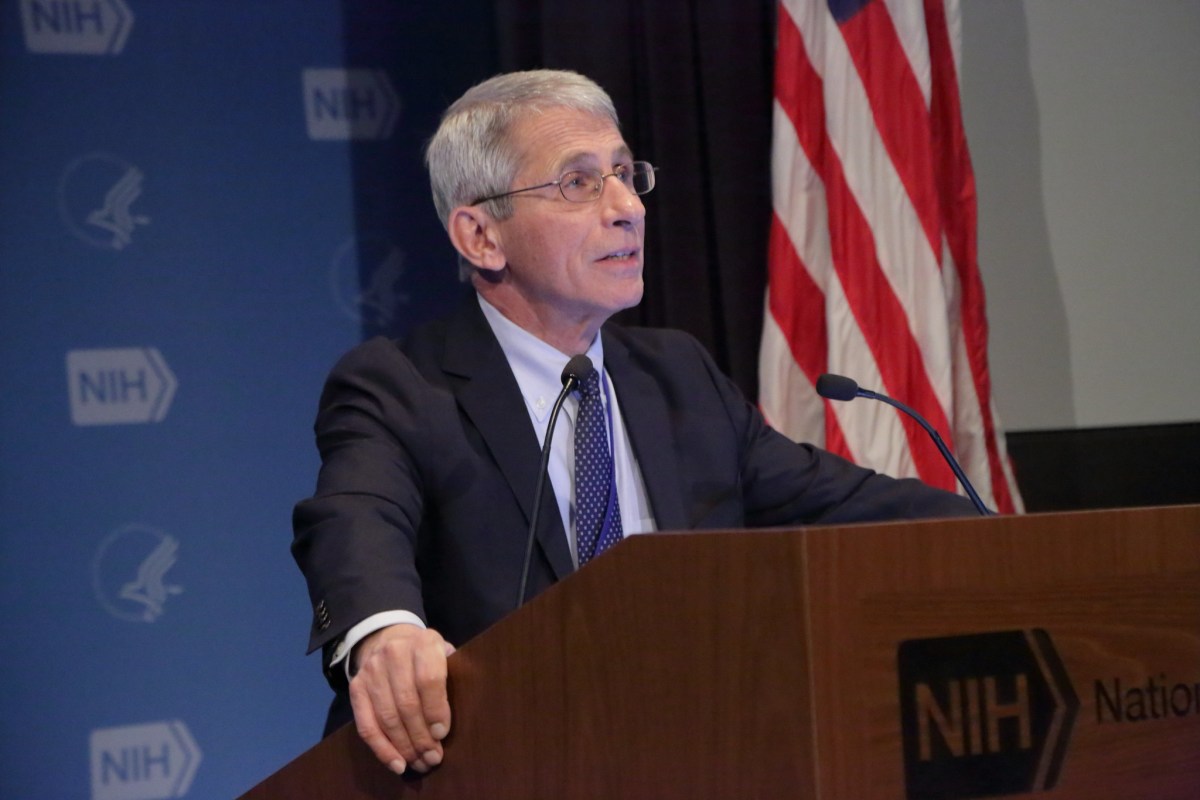 To Protect Fauci, The Washington Post is Preparing a Hit Piece on the Group Denouncing Gruesome Dog Experimentations – scheerpost.com