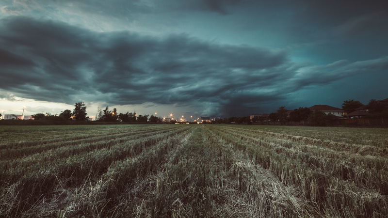 ‘Multi-Dimensional Planned Disaster’: Insider Lays Out Dire Food Supply Collapse Scenario Prompted by Vaccine Mandate