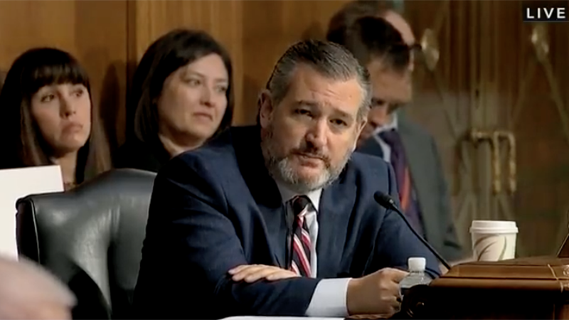 Video: Cruz Grills DHS Head Over Illegal Children In “Biden Cages”