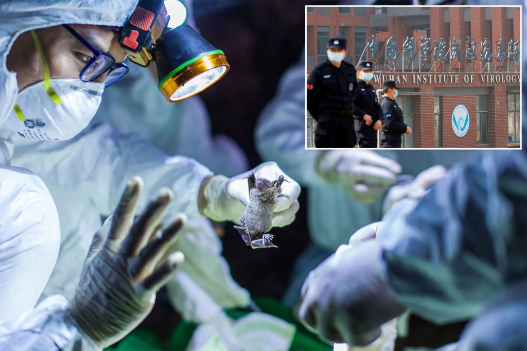 Letter confirms Wuhan lab leak was funded by US taxpayers