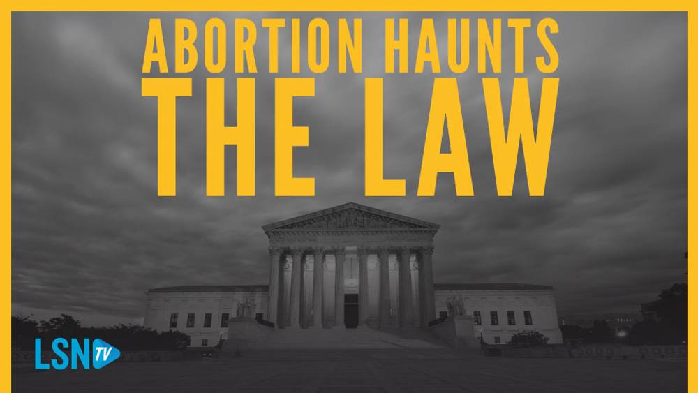 American citizens, not the Supreme Court, should decide abortion issue: constitutional lawyer