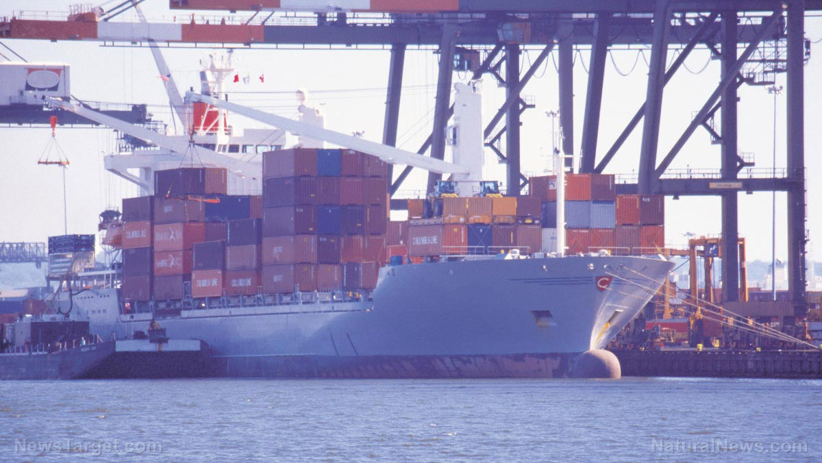 Shipping rates continue to rise as holiday season nears – NaturalNews.com