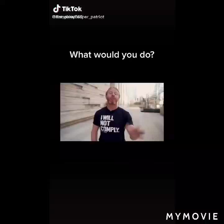 What would you have done during the holocaust? Exactly what you are doing now