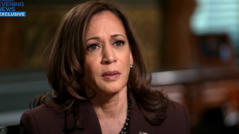 Kamala Gaslights: “It Is No One’s Fault That This Virus Hit Our Shores, Or Hit The World”