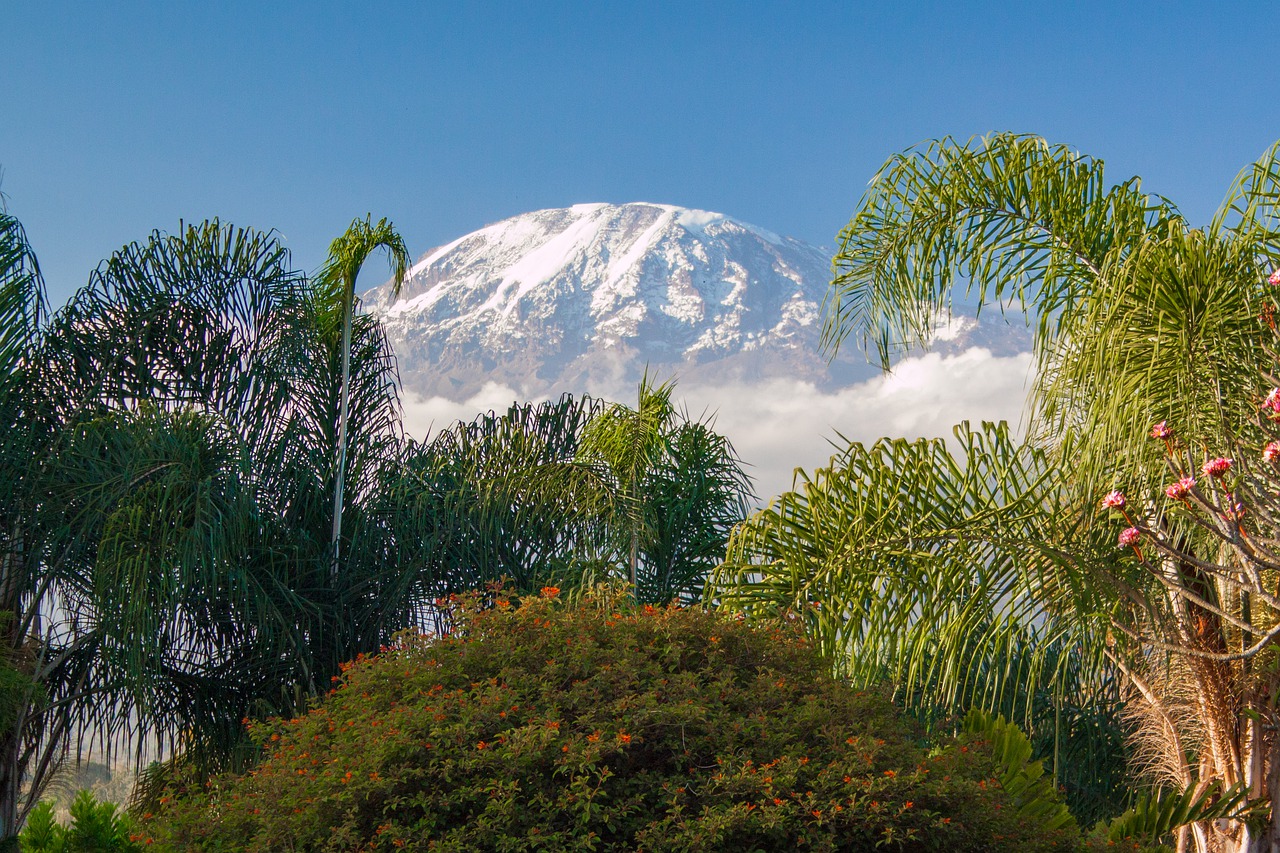 Snowfall EVERY DAY Atop Kilimanjaro – Where Is Al Gore? - ClimateRealism