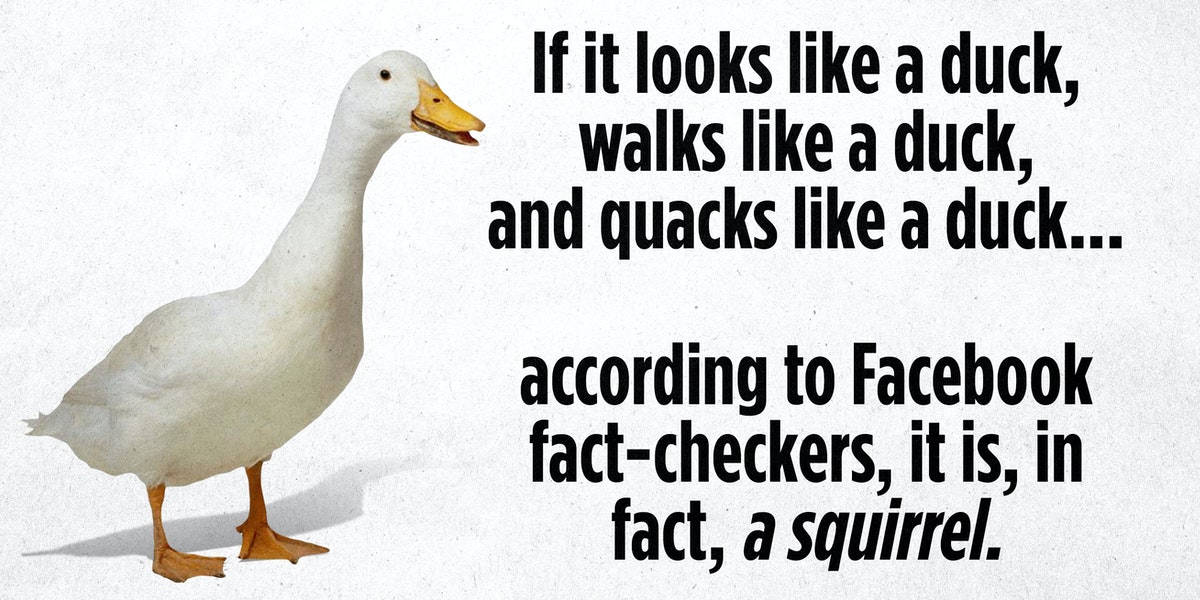 Michael Swartz: Facebook 'Fact-Checkers' Are Now 'Protected Opinion' | The Patriot Post