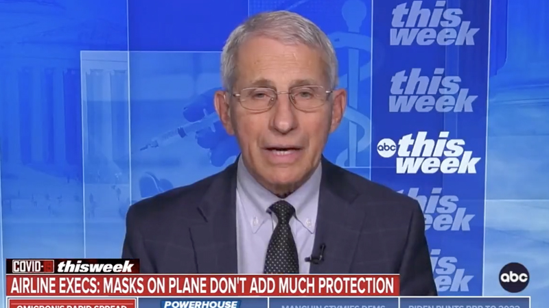 Fauci Says Americans May Have To Wear Masks on Airplanes FOREVER
