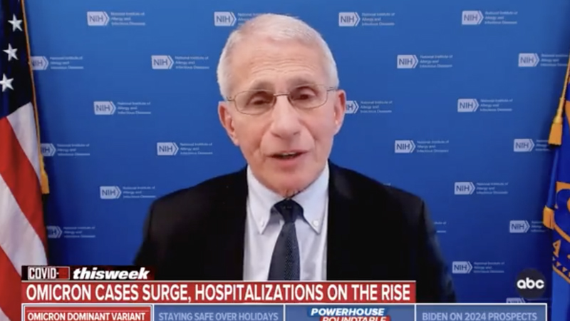 Video: Fauci Says He Supports Vaccine Mandate For Domestic Air Travel