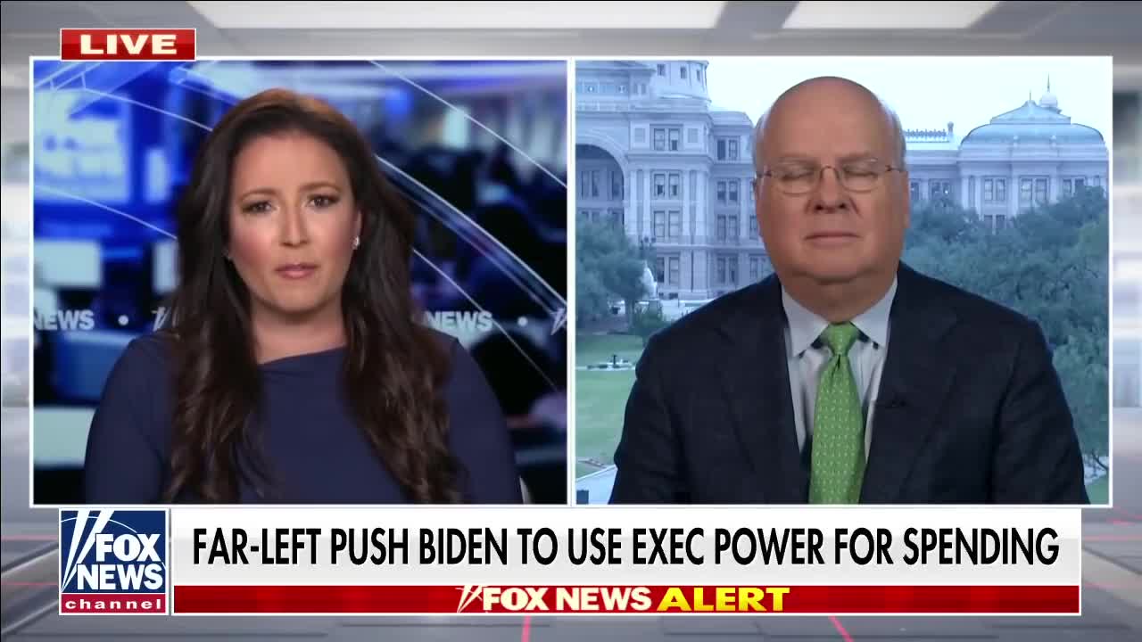 Karl Rove: Far-left lawmakers want to ignore Constitution