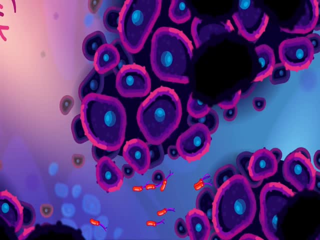 Your Incredible Immune System