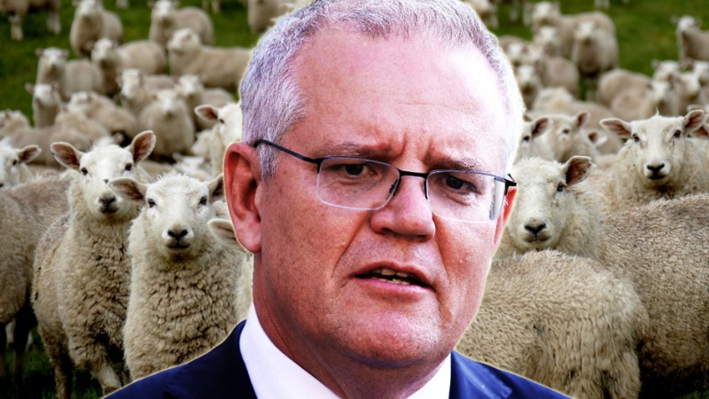 Aussie PM Compares Vaccinated People to Sheep