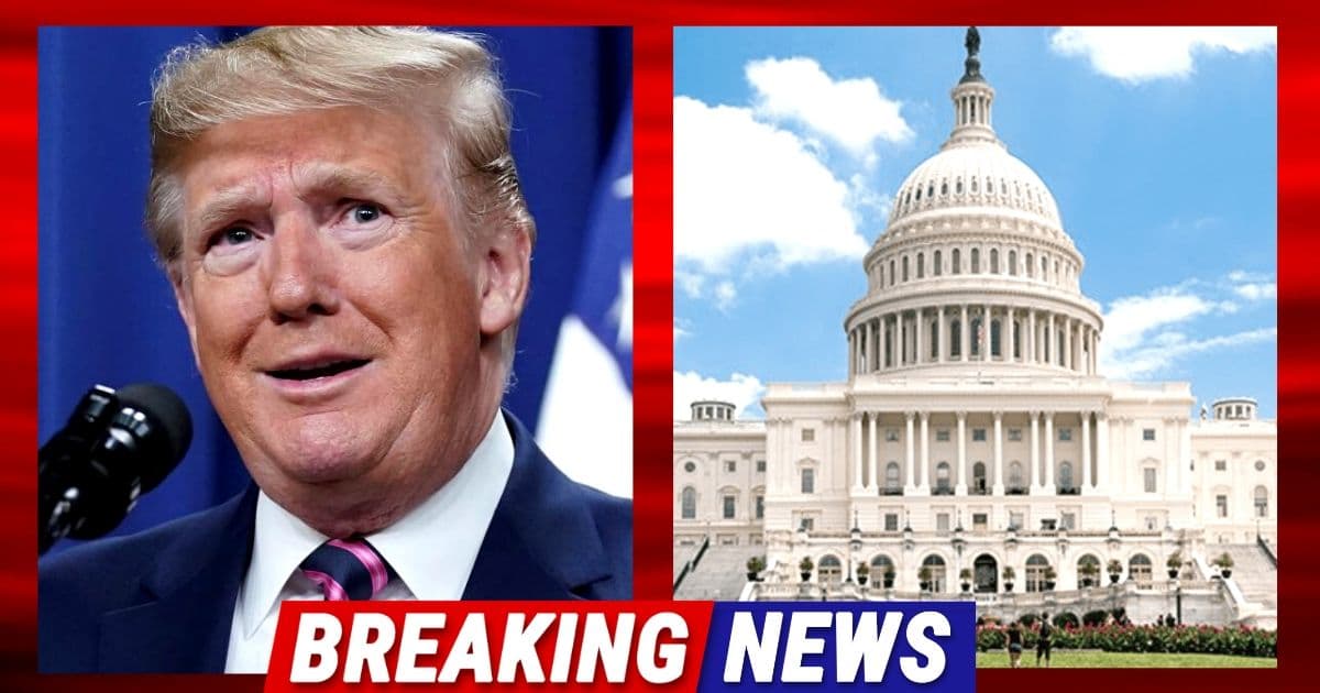 Trump Could Have New Job In Washington In Just Months - Matt Gaetz Has Talked To Donald About Replacing Pelosi After Midterms