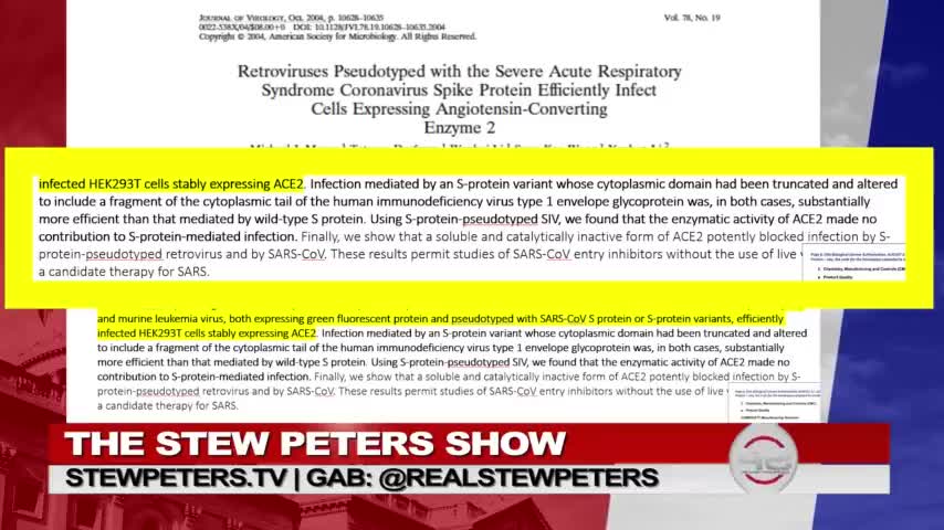 Stew peters Fauci Patent And Vaxxed Induced AIDS Karen Kingston Interviewed