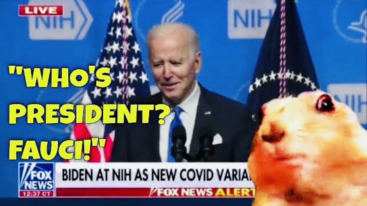 Biden just said it OUT LOUD:
