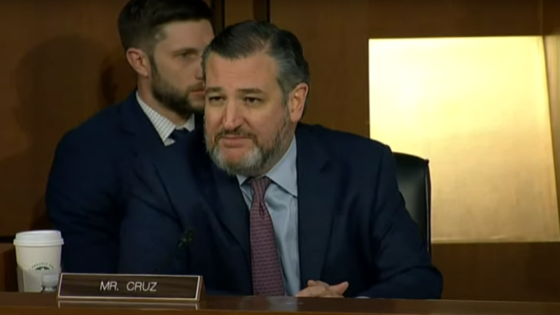 Sen. Ted Cruz Grills FBI At Jan. 6 Hearing: “Who Is Ray Epps?”