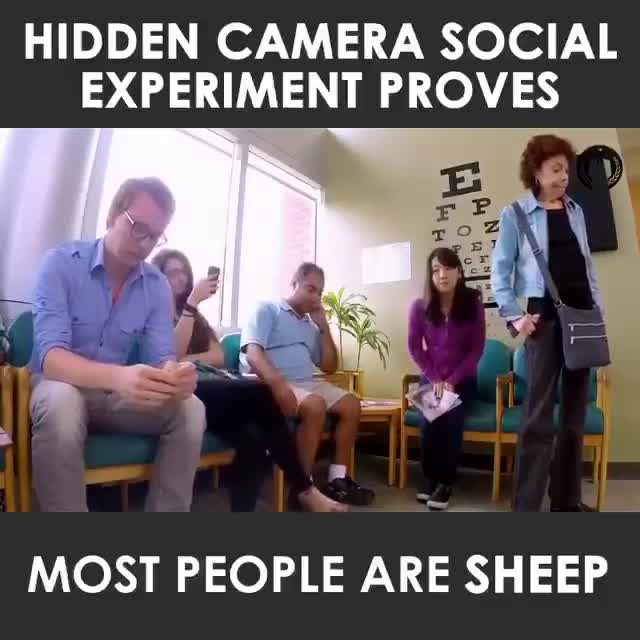 Social Experiment shows most people are sheep