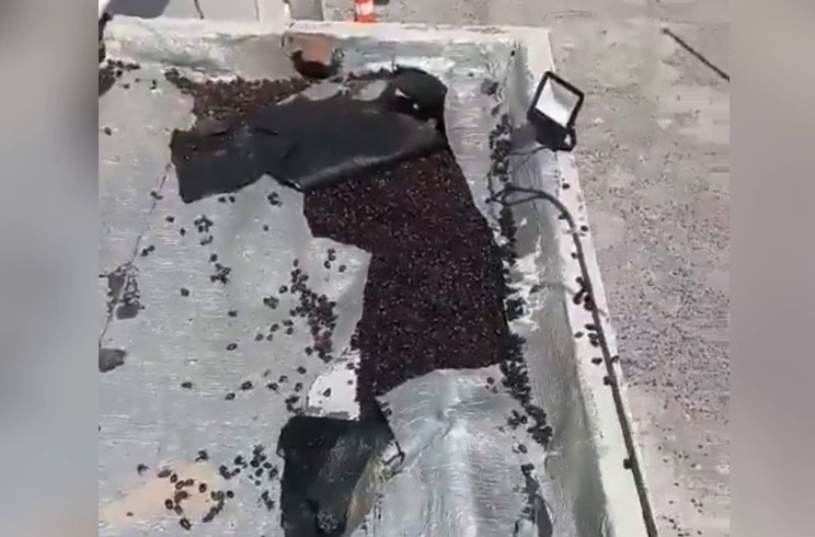Record heat in Argentina, brought swarms of beetles – World-Signals News