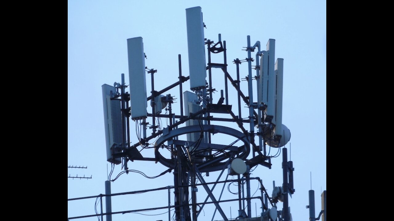 Whistleblower confirms 5G must be halted due to thousands of deaths around the world – News4trafford