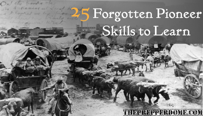 25 Forgotten Pioneer Skills to Learn – The Prepper Dome