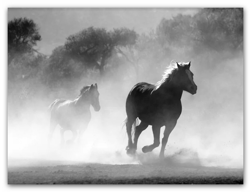 GOD’s concerns… and the “concerns” of the leaders of this world… | The Voice of GOD YHVH-Elohim … in Ruach Hakodesh / Holy Breath / Holy Wind / Holy Ghost / Holy Fire…