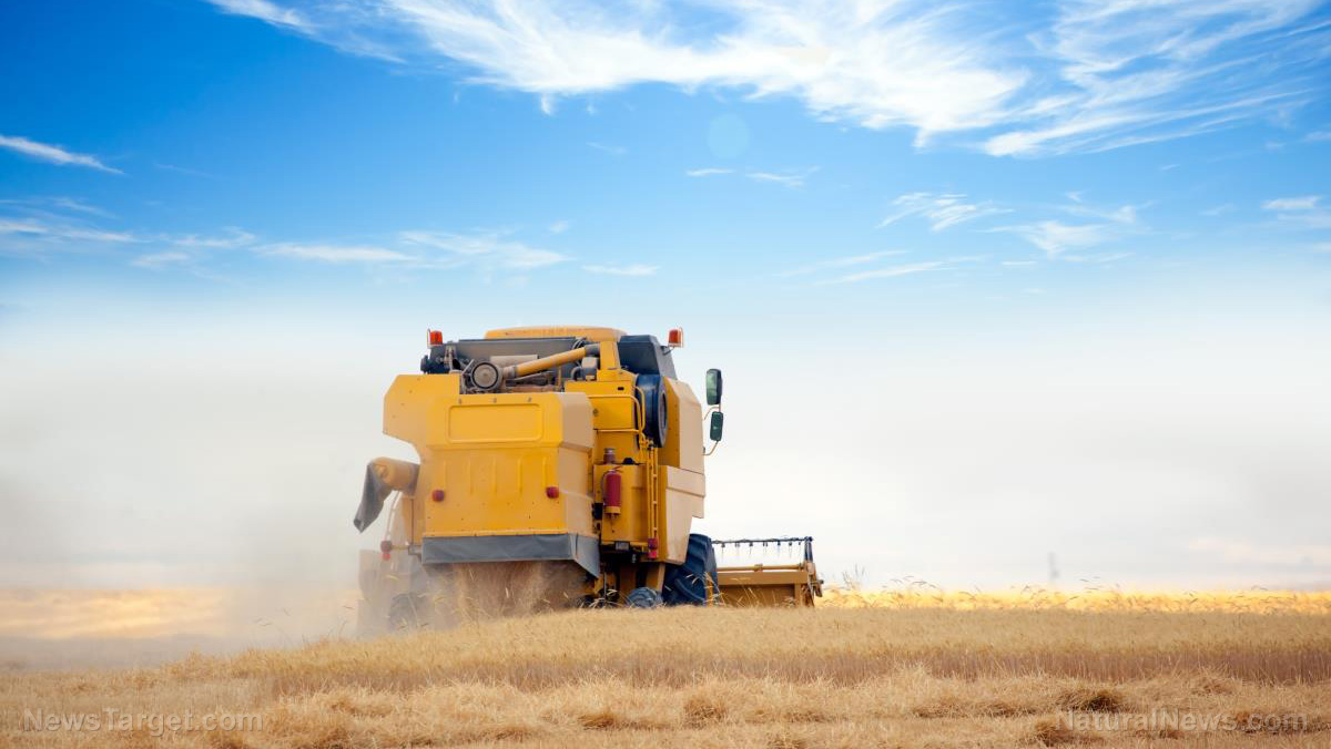 Here it comes: Food prices set to skyrocket throughout 2022 as rising costs hit small-to-medium-sized farms – NaturalNews.com