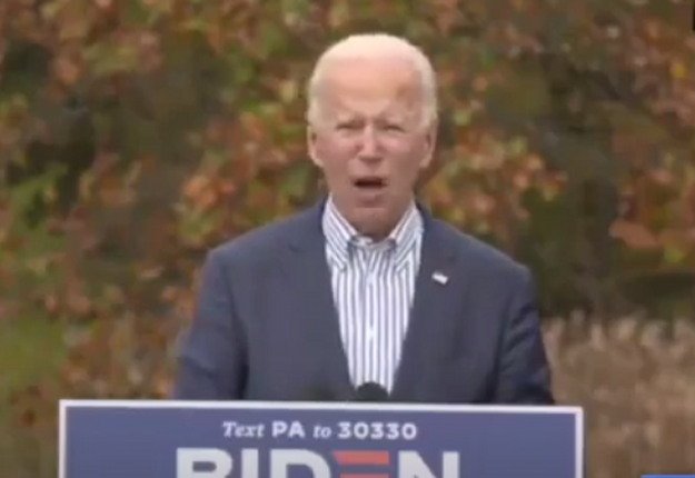 POLL: Over 45 Percent Say Biden Lied To Get Elected And Now Life In America Is Worse