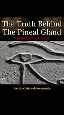 Pineal Gland The Minds Third Eye Gamma Brain Wave Patterns Chemical Release Dimensional Beings