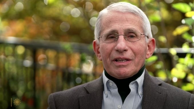 Anthony Fauci was fuming after Sarah Palin made this shocking statement - Renewed Right