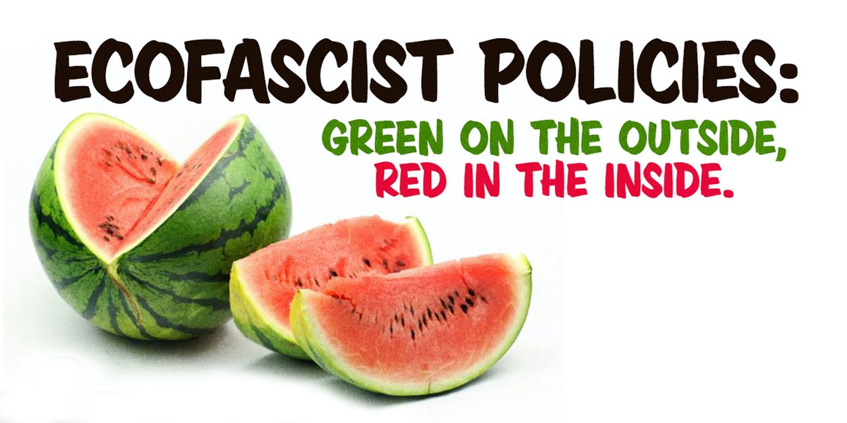 Nate Jackson: Get Ready for 'Environmental Justice' | The Patriot Post