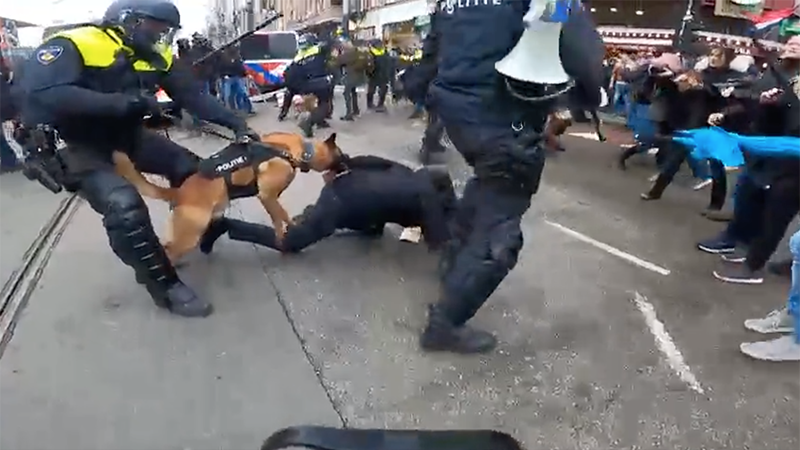Video: Dutch Police Sick Attack Dogs On Anti-Lockdown Protesters