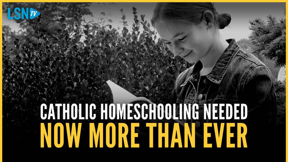 Debunking the myths of homeschooling: The joys of learning with family
