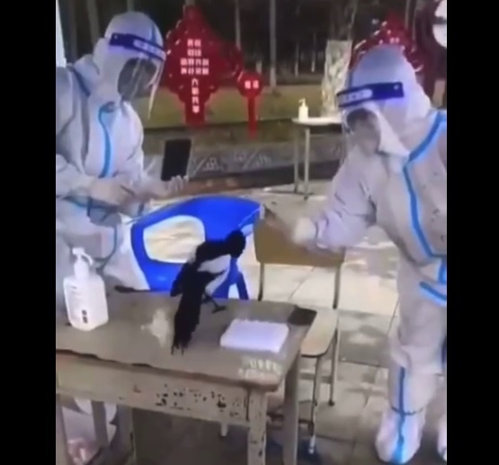 Sick Chinese about the virus continue to surpass even the wildest imaginations – World-Signals News
