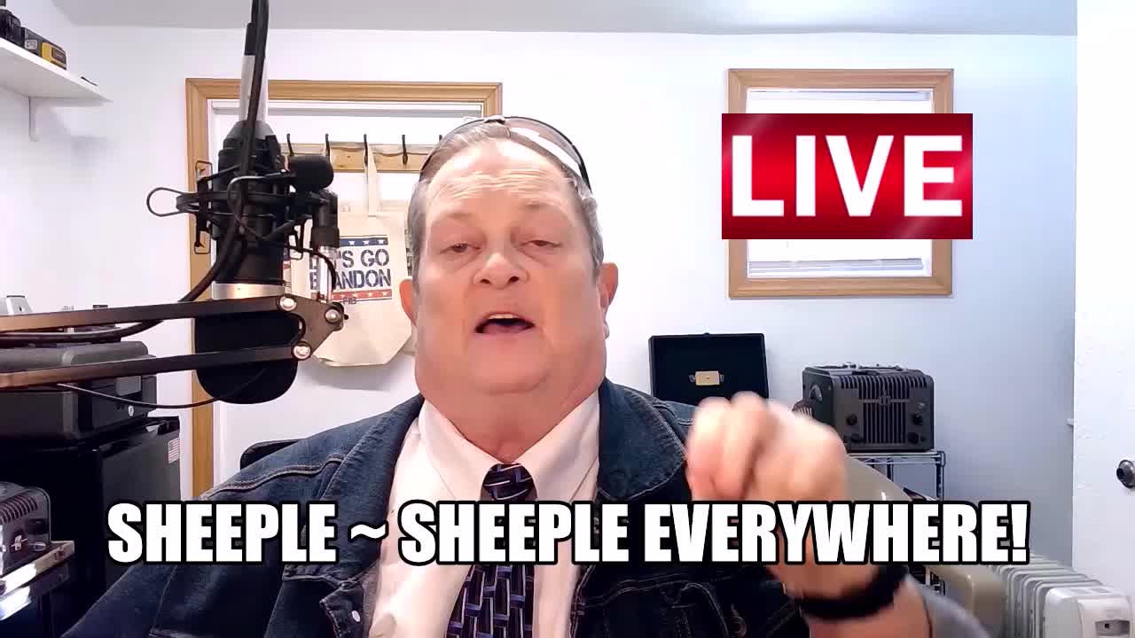 SHEEPLE ~ SHEEPLE EVERYWHERE!