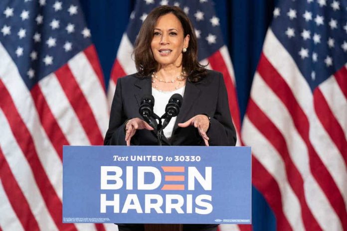 Kamala Harris Suggests Only Blacks Should Get Led Pipes Replaced | Freedom Beacon