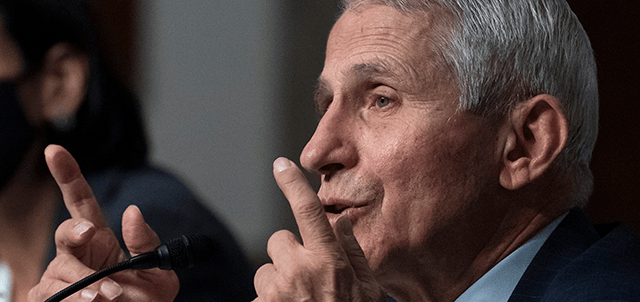 Anthony Fauci Admits To WaPo His $10.4M Financial Portfolio Was Hidden - Political Daily