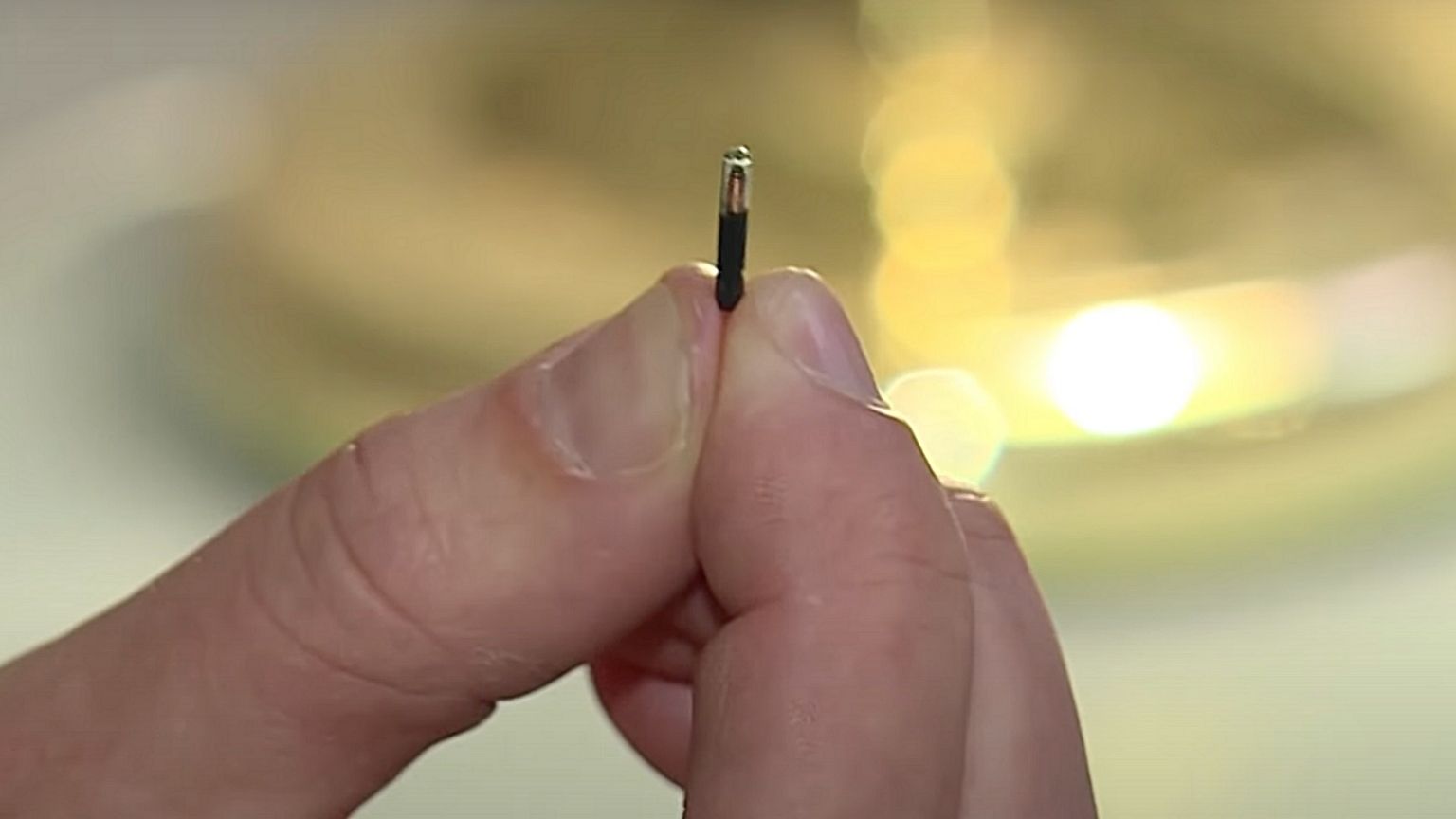 Covid passport microchip developer says chipping humans is happening 