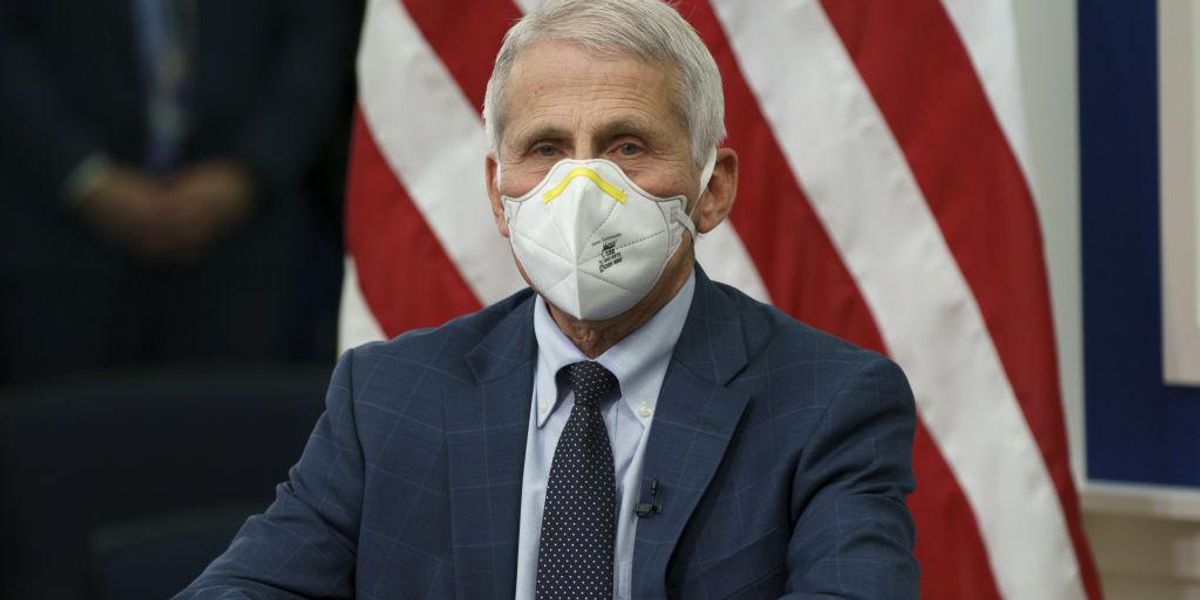 Report: Fauci's NIAID spent more than $205,000 to give monkeys transgender hormones - TheBlaze