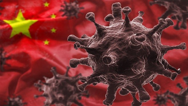 LAWRENCE SELLIN: New Pentagon Papers Show COVID Is Bioweapon Made in China Paid for and Developed by US Scientists Who Then Covered It Up While Pushing Flawed Public Health Policies